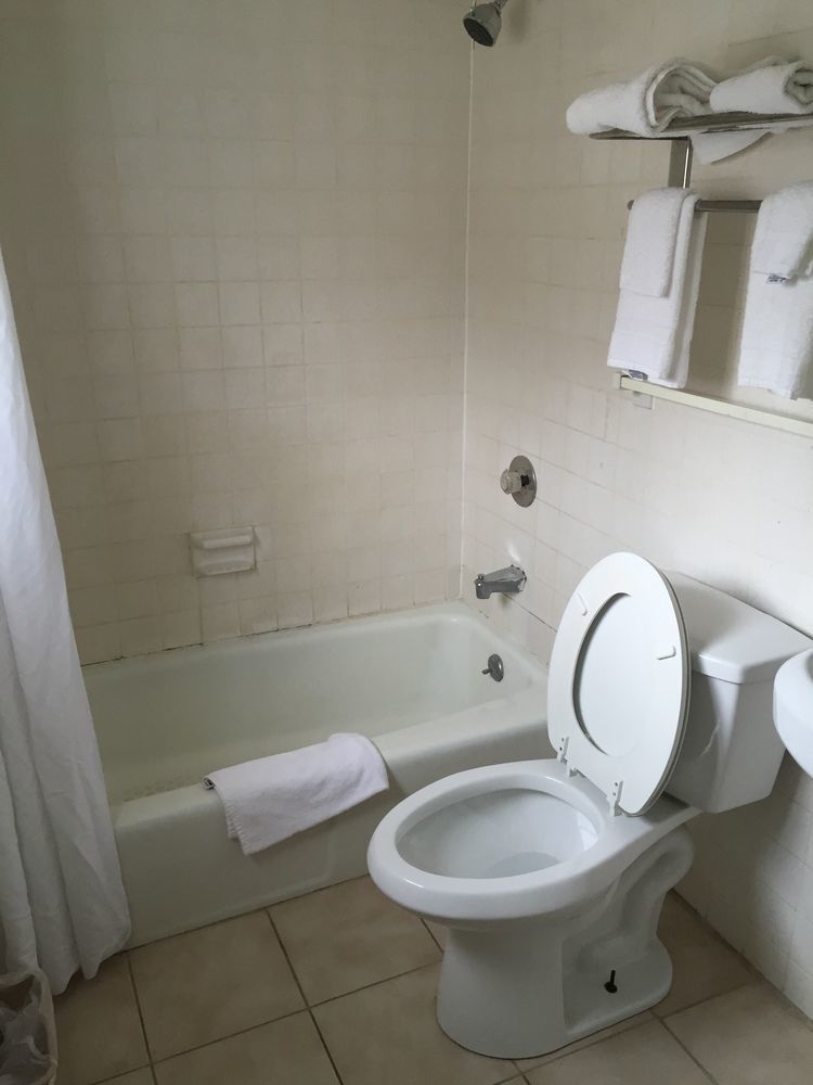 Red Carpet Inn & Suites Albany Airport ألباني المظهر الخارجي الصورة
